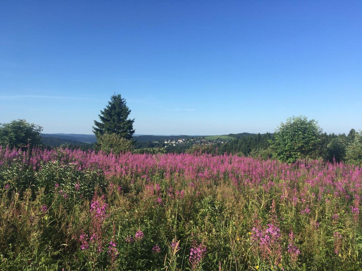 Hotel Berghaus Winterberg Zewnętrze zdjęcie